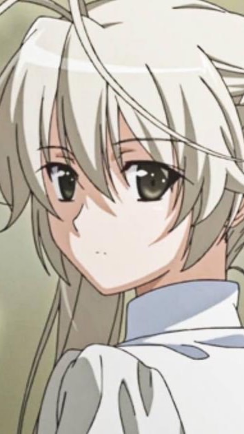 尊重伊信信群