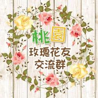 桃園玫瑰花友交流群