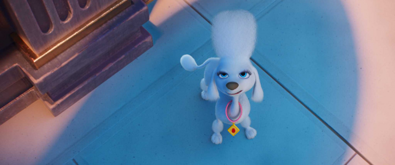 狗狗們戰力全面大升級，學會許多新招數和技能，服裝配備更帥氣又時尚，車輛酷炫功能性強，還有三隻菜鳥小狗狗（小諾、小蜜、小塔）可愛新登場。