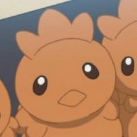 pokemon จักรวาลที่ 2 (Roleplay)