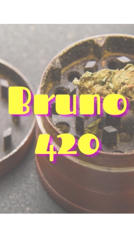 OpenChat Bruno420 🍀🔥💧💨