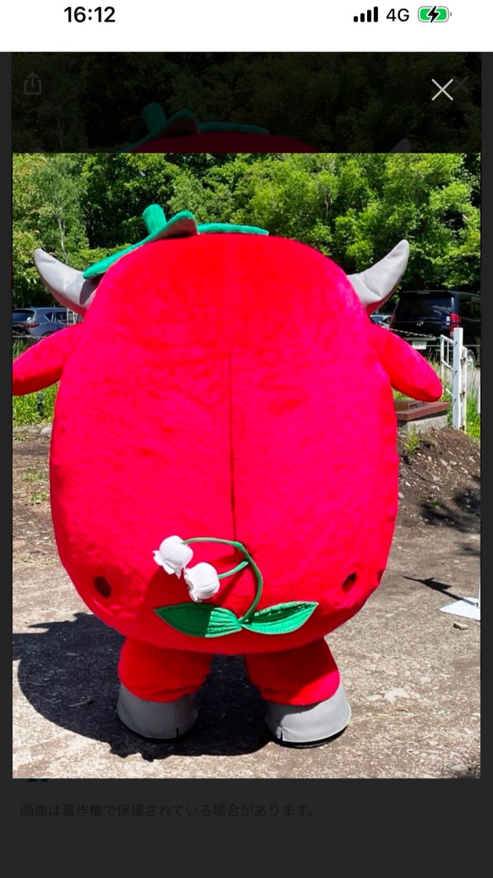 平取地域おこし協力隊💪