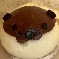 2026工学院大学写真部新歓