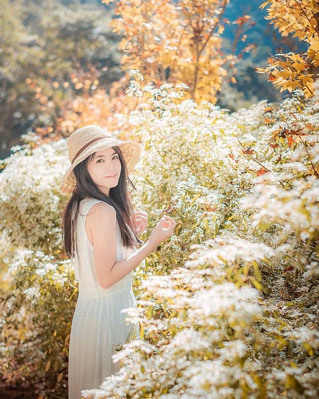 ▲圖片來源：IG@yupei1124