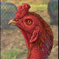 สนามชนไก่ ปิยะมิตรบางจักร