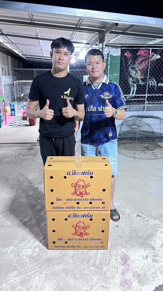 เสือ สว่างแดนดิน “เจ้ายอดรัก” (ส เสือ ฟาร์ม)