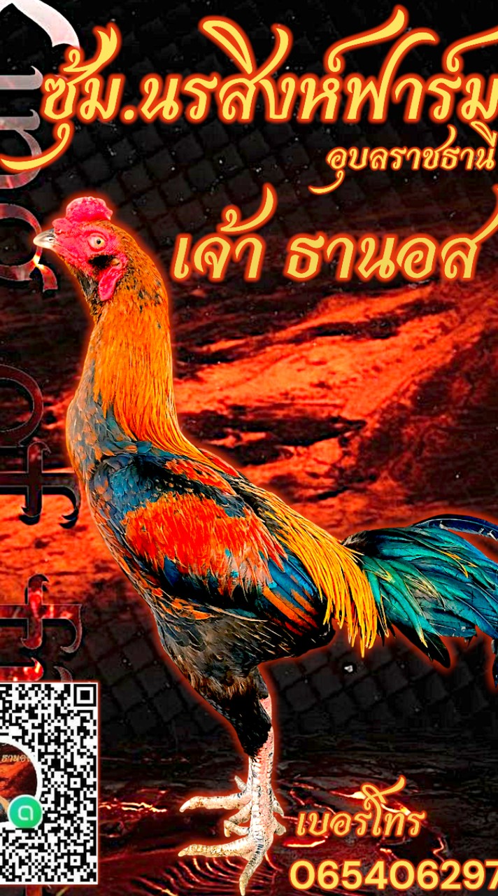 ซุ้ม.นรสิงห์