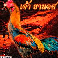 ซุ้ม.นรสิงห์