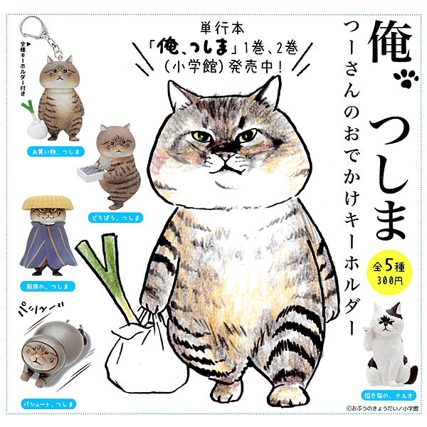 日本暢銷漫畫的同名轉蛋 將貓咪主角圓滾滾的模樣細緻呈現 共5款 皆附蛋殼、蛋紙 日本正版授權商品