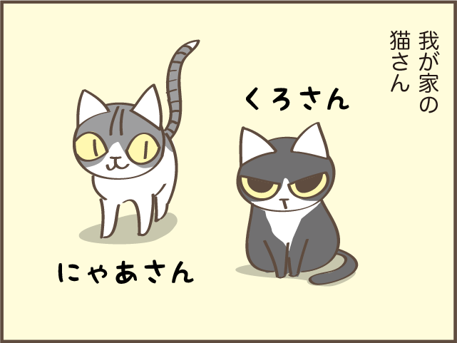 にゃあさん やめて 猫がキッチンでゴミ箱あさり 我が家の対策は しまえもん