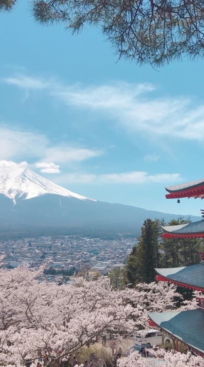 L.Trip 日本旅遊那件事