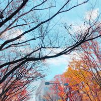 ひきこもり家庭の親限定