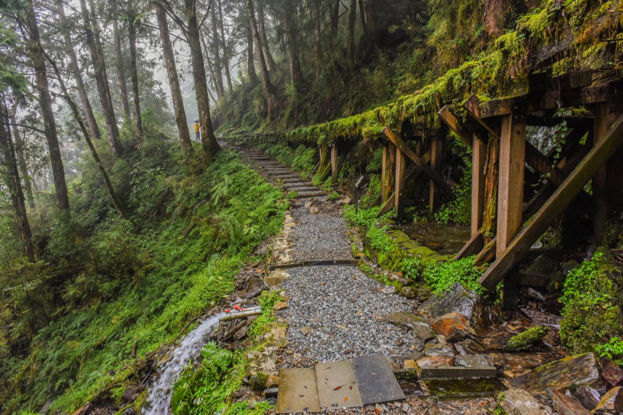 ９條宜蘭森林步道防疫秘境｜宜蘭森呼吸走步道防疫
