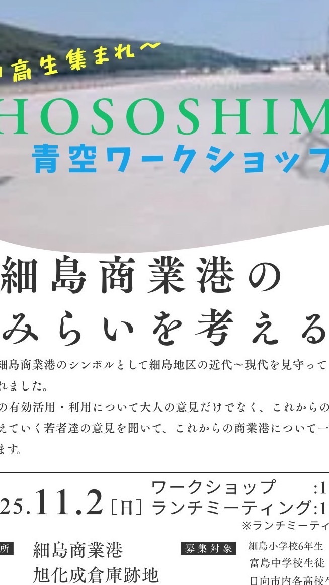 細島商業港の未来を考える実行委員会