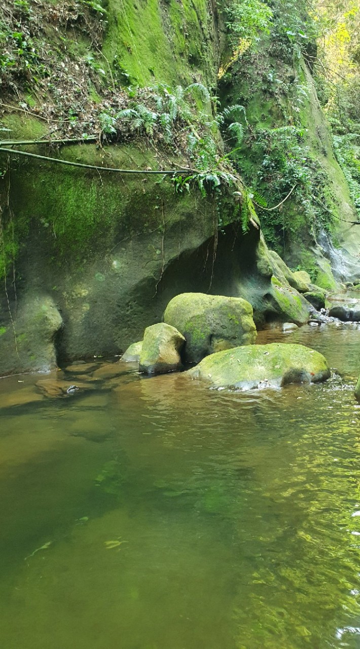 暮營山海