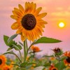 กยศ.มจพ2569🌻