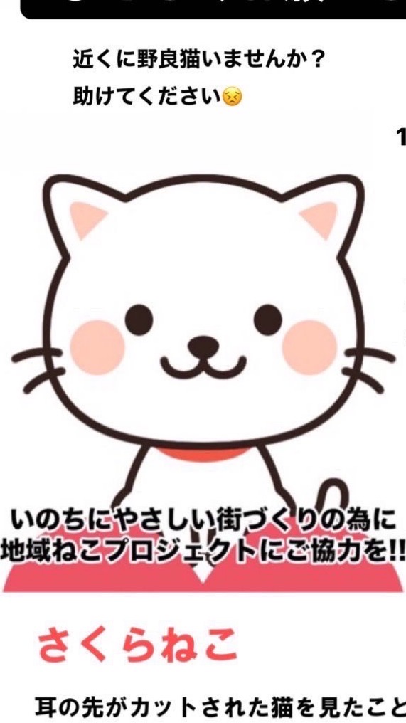 地域猫活動222.neko玉名