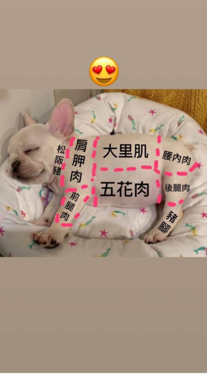 疫情關注 分享看法 討論區 歡迎嘴砲