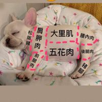 疫情關注 分享看法 討論區 歡迎嘴砲