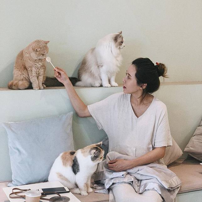 （圖片來源／IG @an_2095）