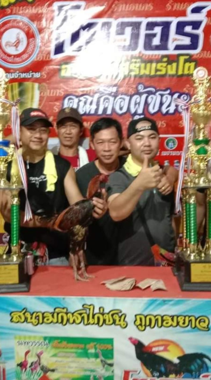 บอย ส เอย่า