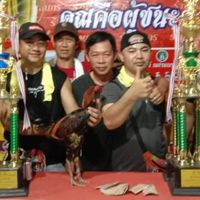 บอย ส เอย่า