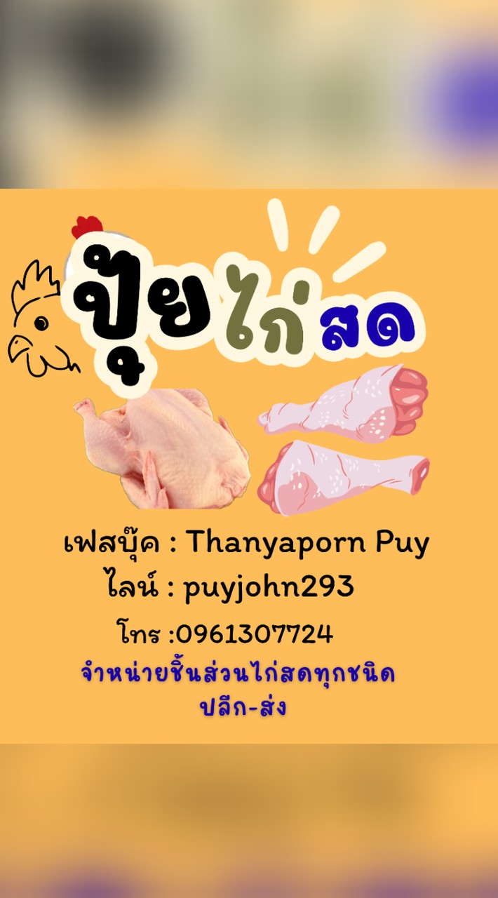 เซล์ลปุ้ย
