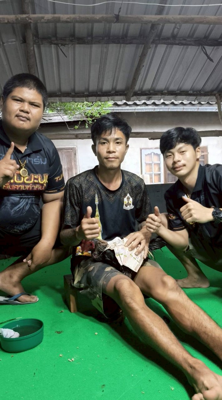 เพชรคอนเทนต์🐓