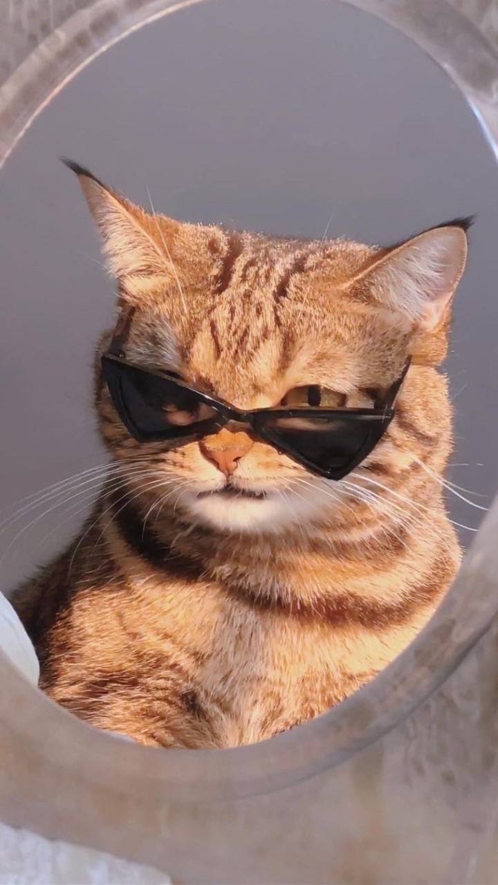 ซัพพอร์ตของคนสวย😎
