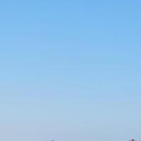 ✈AirLine空運報關商品