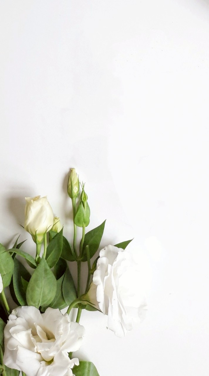 CPs 英國歐洲團購批發