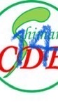 第14期島根県糖尿病療養指導士