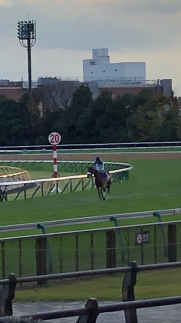 超短期全集中！姫路競馬チャット！のオープンチャット