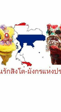 สมาคมคนรักสิงโตมังกรไทย