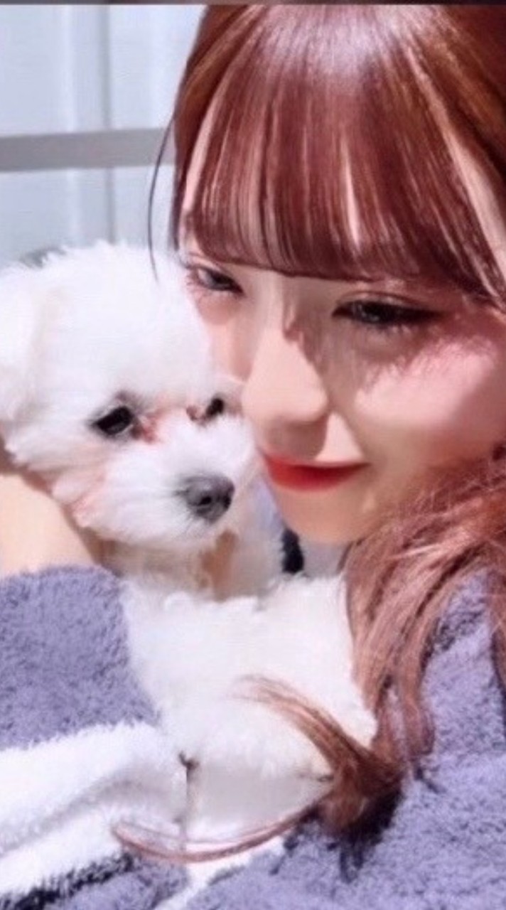 みなみちゃん画像・加工・動画・歌詞動画館