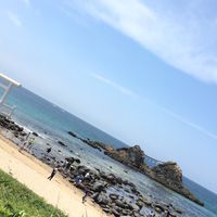 【配信専用】FXユーロドル1コインシグナル