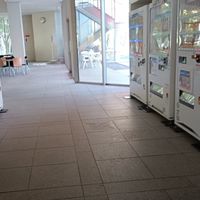 桐蔭の中学生集まってー！