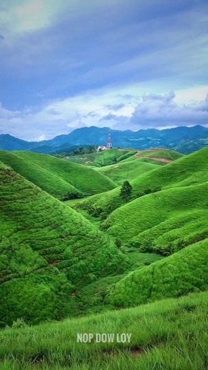 สำหรับแจ้ง ทริป