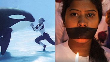 推薦「平常不看的人也會愛上」紀錄片 Top 6 動物訓練師被朝夕相處的虎鯨拖入水中殺死⋯