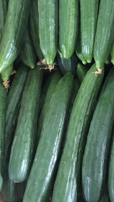 新竹地區蔬菜🥬