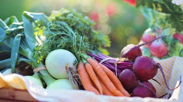 2019悶燒鍋推薦：膳魔師、仙德曼、象印、大家源、TWINBIRD