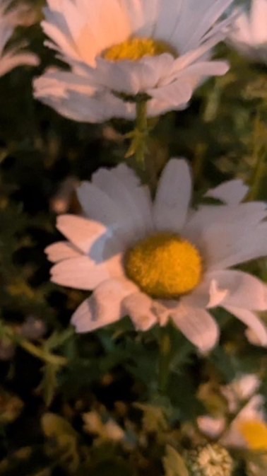 あいうえおかきくけこさしすせそたちつてと
