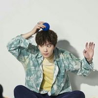 FT 의 Primadonna