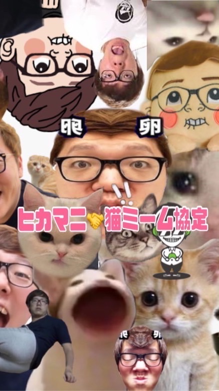 ヒカマニ🤝猫ミーム雑談