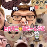 ヒカマニ🤝猫ミーム雑談
