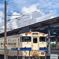 尾羽急電鉄 フリー運行OK!