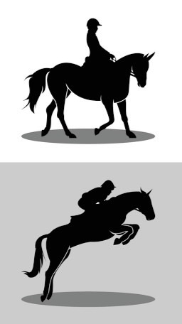 equestrains thailand🏇🏻🏇🏻( TH )