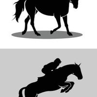 equestrains thailand🏇🏻🏇🏻( TH )