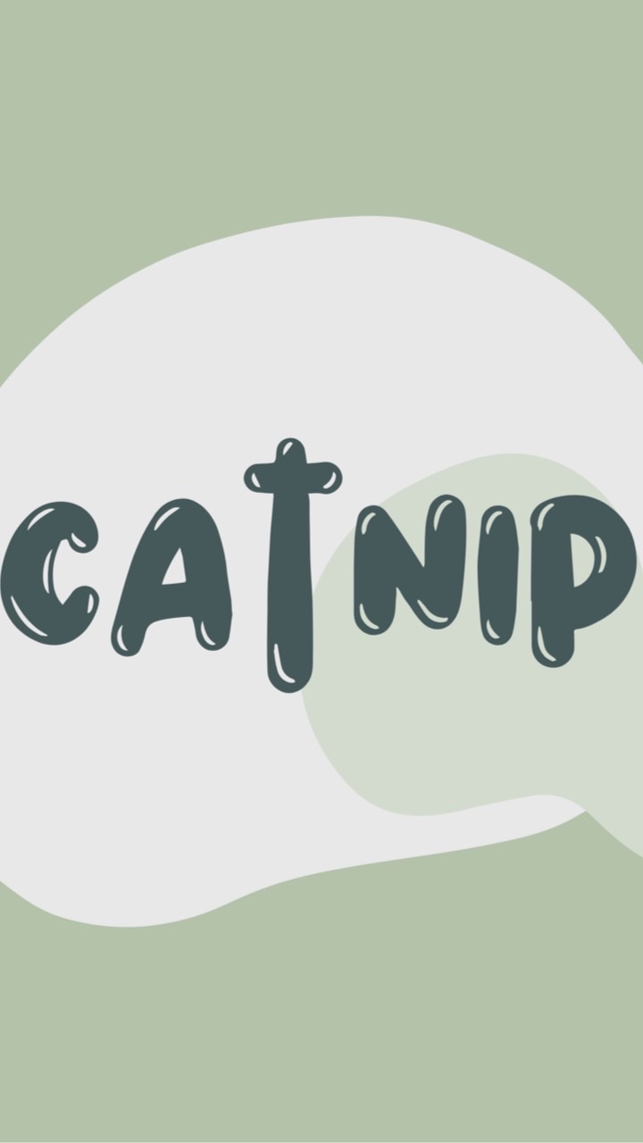 Catnip貓薄荷🐈‍⬛🍃/男團代購群