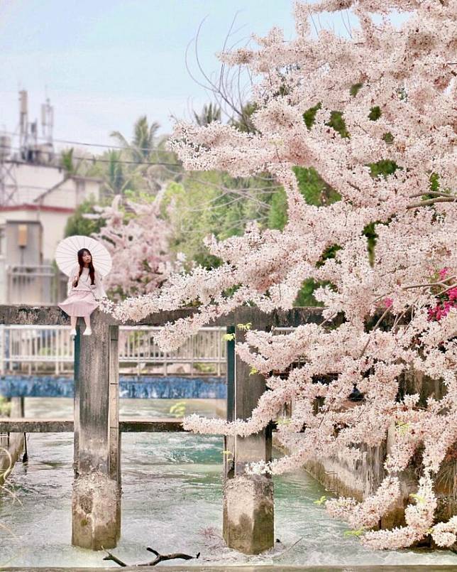 圖片授權：IG @yiciguo